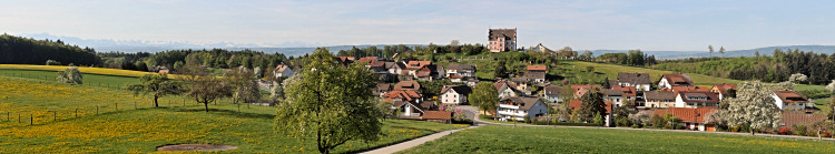 Dorf und Schloss
                                          Freudental auf dem Bodanrck
                                          am Bodensee